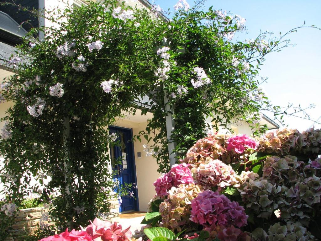 로키레크 L'Escale Evel Er Ger B&B 외부 사진